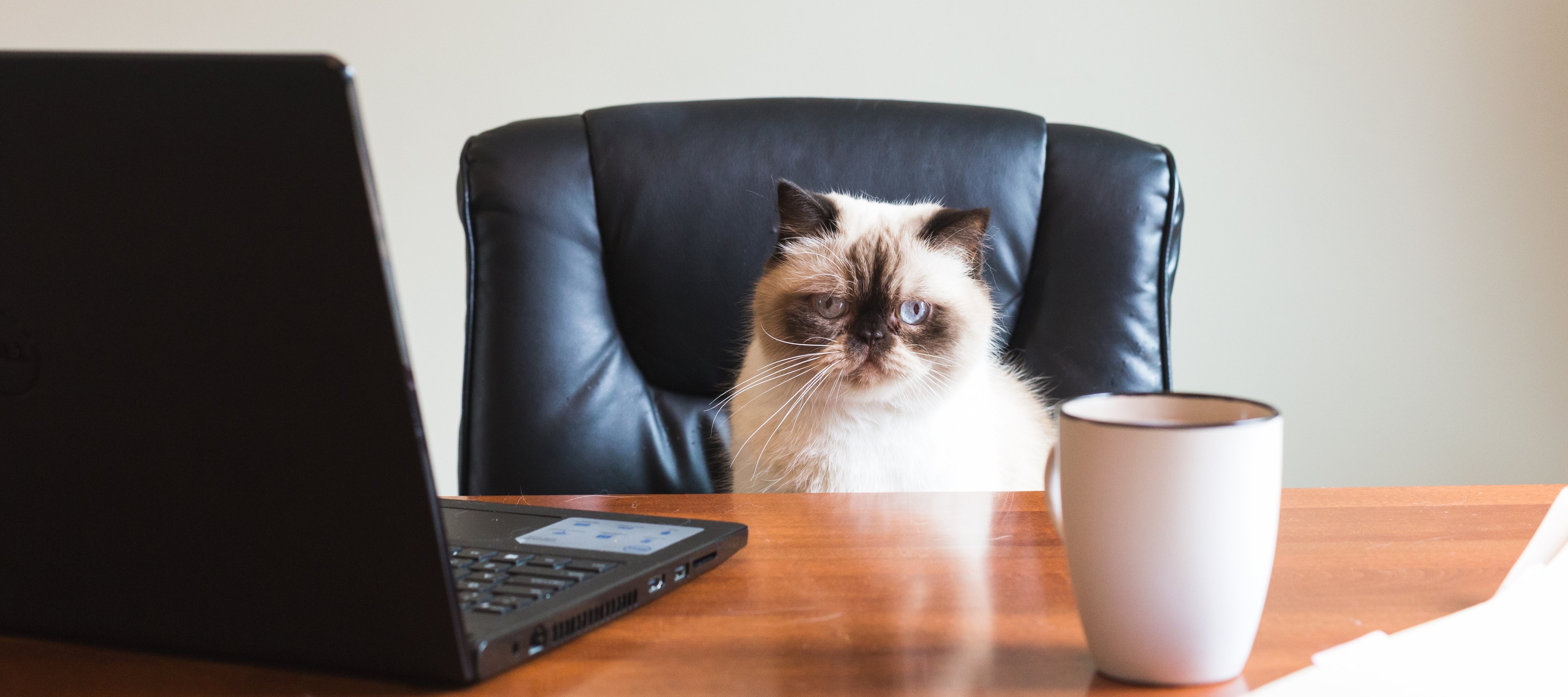 あびこファイナンシャルパートナーズのサイトです